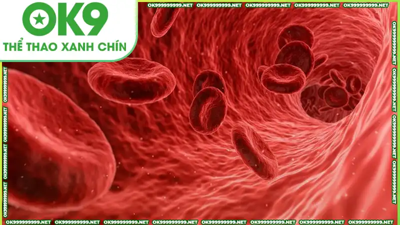 Máu nuôi dưỡng sự sống, mang ý nghĩa tích cực