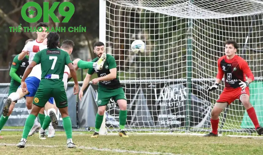 George Cross và Bentleigh Greens hiện đang có cùng 39 điểm trên BXH Victoria 2